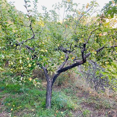 Pensjonat Barranco De La Salud Laroles Pokój zdjęcie